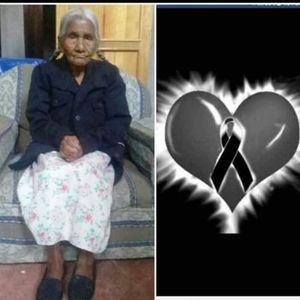 Meet your Posher, Lina